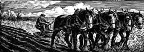 wood-engraving original print: Ploughing for Farmer's Glory